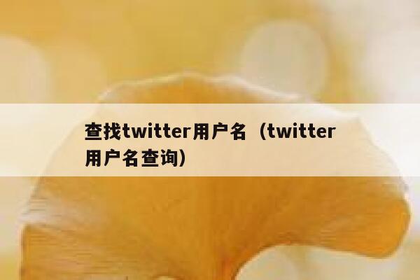 查找twitter用户名（twitter用户名查询） 第1张