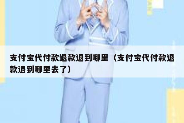 支付宝代付款退款退到哪里（支付宝代付款退款退到哪里去了） 第1张