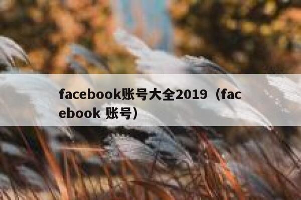 facebook账号大全2019（facebook 账号） 第1张
