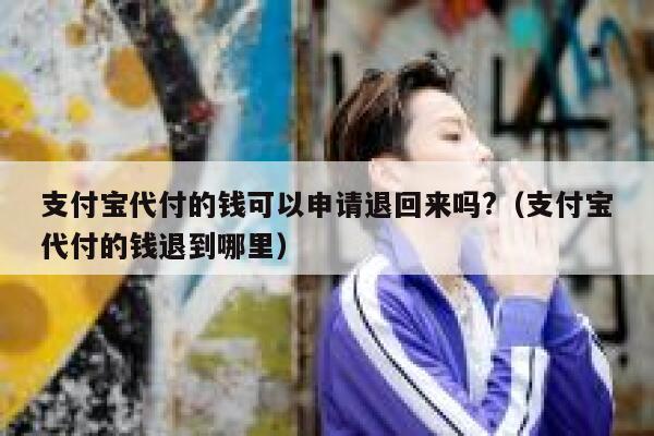支付宝代付的钱可以申请退回来吗?（支付宝代付的钱退到哪里） 第1张