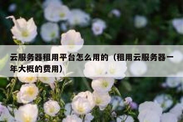 云服务器租用平台怎么用的（租用云服务器一年大概的费用） 第1张