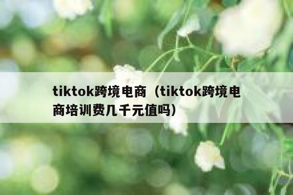 tiktok跨境电商（tiktok跨境电商培训费几千元值吗） 第1张
