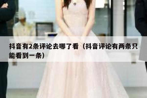 抖音有2条评论去哪了看（抖音评论有两条只能看到一条） 第1张