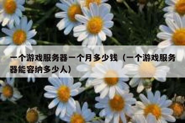 一个游戏服务器一个月多少钱（一个游戏服务器能容纳多少人） 第1张