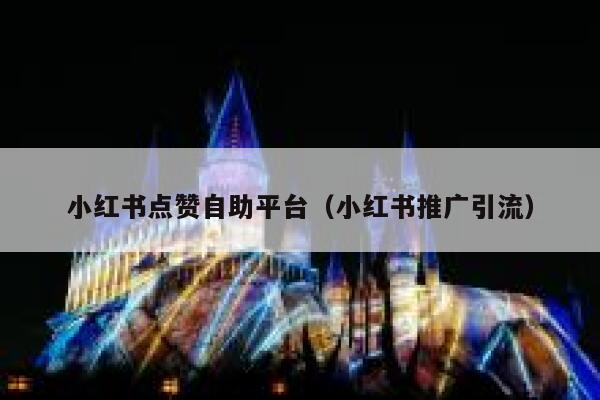 小红书点赞自助平台（小红书推广引流） 第1张