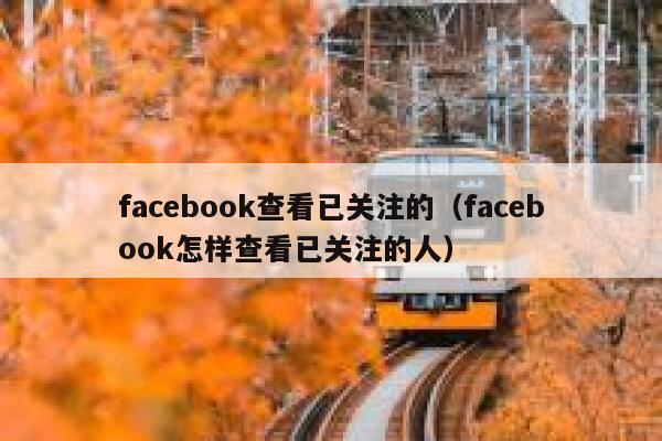 facebook查看已关注的（facebook怎样查看已关注的人） 第1张