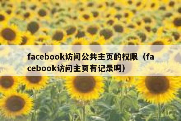 facebook访问公共主页的权限（facebook访问主页有记录吗） 第1张