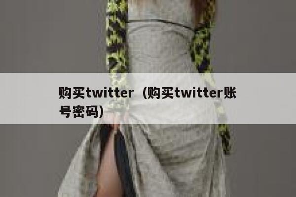 购买twitter（购买twitter账号密码） 第1张