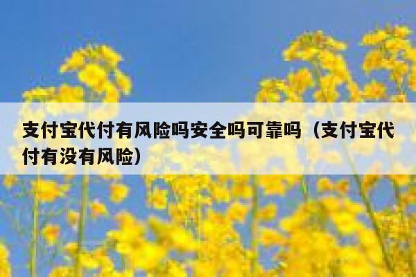 支付宝代付有风险吗安全吗可靠吗(支付宝代付有没有风险) 第1张 支付宝代付有风险吗安全吗可靠吗(支付宝代付有没有风险) 第1张