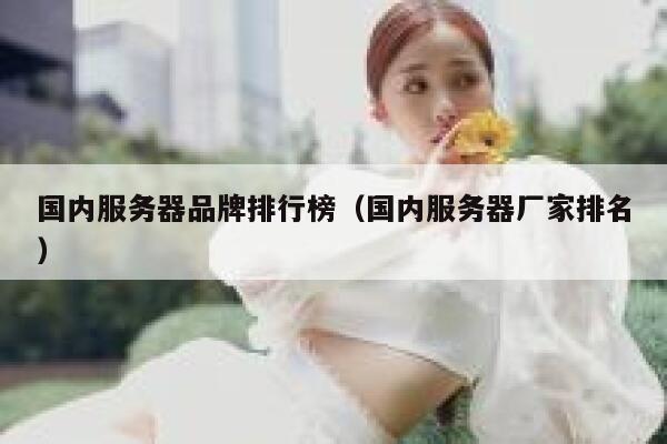 国内服务器品牌排行榜（国内服务器厂家排名） 第1张