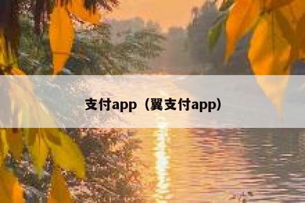 支付app（翼支付app） 第1张