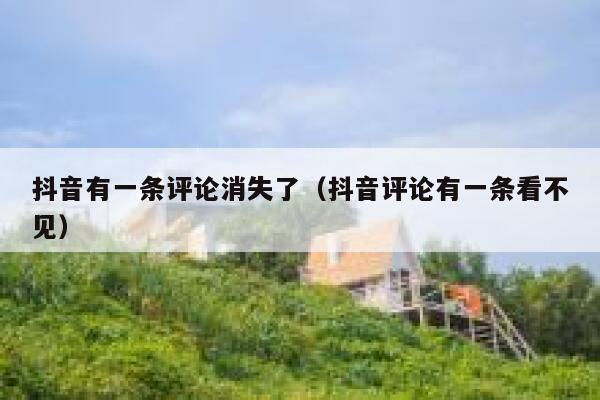 抖音有一条评论消失了（抖音评论有一条看不见） 第1张