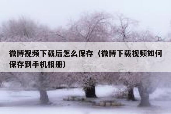 微博视频下载后怎么保存（微博下载视频如何保存到手机相册） 第1张
