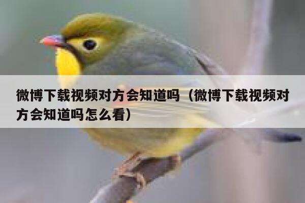 微博下载视频对方会知道吗（微博下载视频对方会知道吗怎么看） 第1张