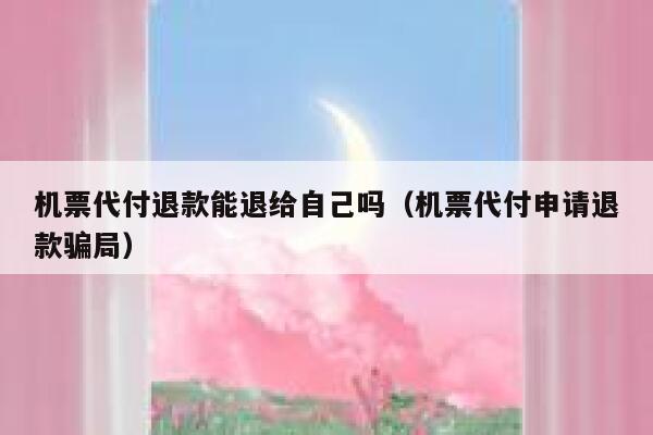 机票代付退款能退给自己吗（机票代付申请退款骗局） 第1张