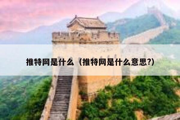 推特网是什么（推特网是什么意思?） 第1张