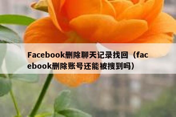 Facebook删除聊天记录找回（facebook删除账号还能被搜到吗） 第1张