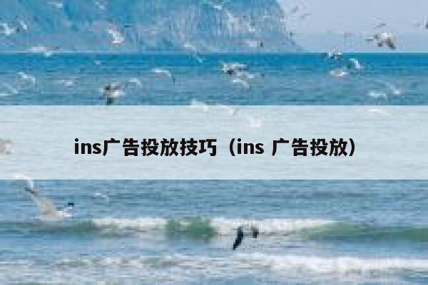 ins广告投放技巧（ins 广告投放） 第1张