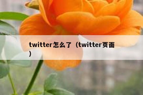 twitter怎么了(twitter页面) 第1张 twitter怎么了(twitter页面) 第1张