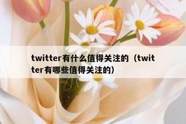twitter有什么值得关注的（twitter有哪些值得关注的） 第1张
