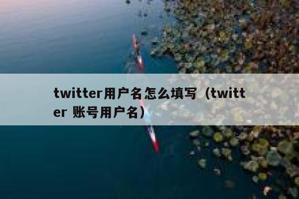 twitter用户名怎么填写（twitter 账号用户名） 第1张