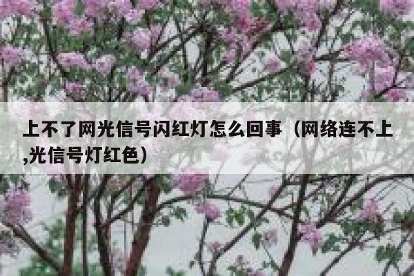 上不了网光信号闪红灯怎么回事（网络连不上,光信号灯红色） 第1张