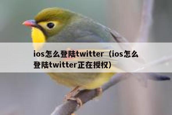 ios怎么登陆twitter（ios怎么登陆twitter正在授权） 第1张