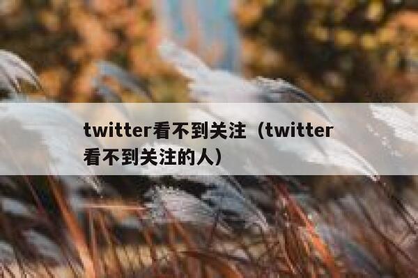 twitter看不到关注（twitter看不到关注的人） 第1张