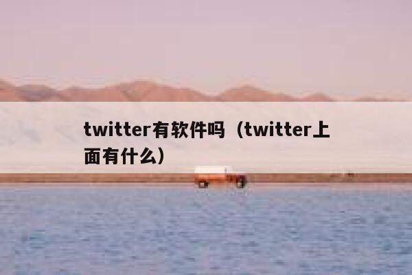 twitter有软件吗（twitter上面有什么） 第1张