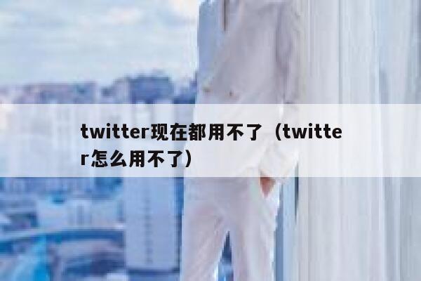 twitter现在都用不了（twitter怎么用不了） 第1张