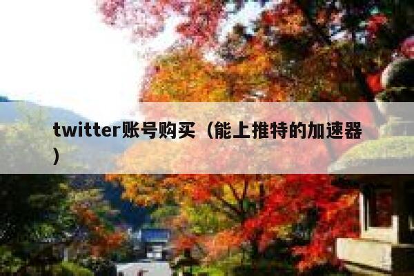 twitter账号购买（能上推特的加速器） 第1张
