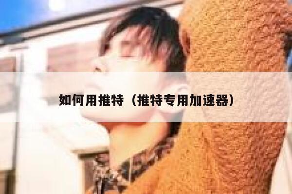 如何用推特（推特专用加速器） 第1张