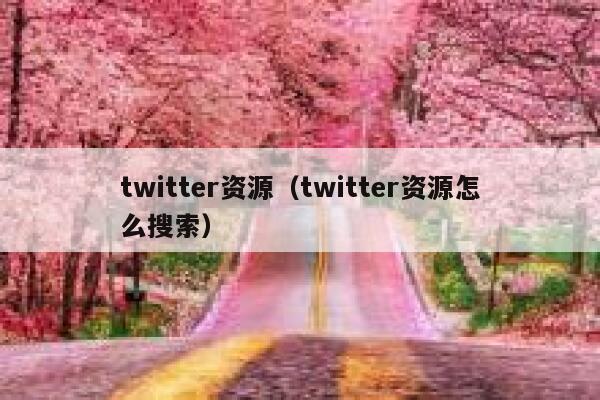 twitter资源（twitter资源怎么搜索） 第1张