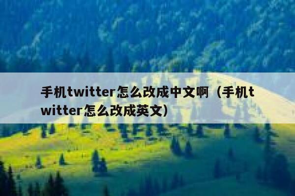 手机twitter怎么改成中文啊（手机twitter怎么改成英文） 第1张