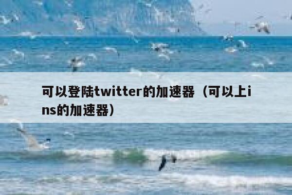 可以登陆twitter的加速器(可以上ins的加速器) 第1张 可以登陆twitter的加速器(可以上ins的加速器) 第1张