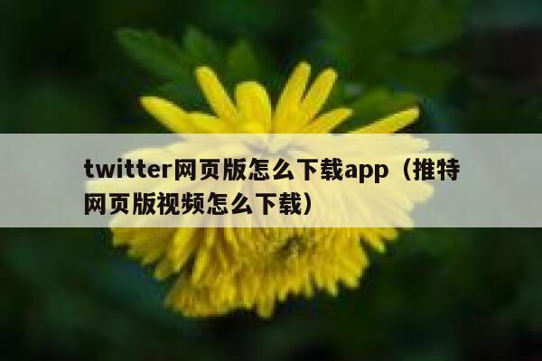 twitter网页版怎么下载app（推特网页版视频怎么下载） 第1张