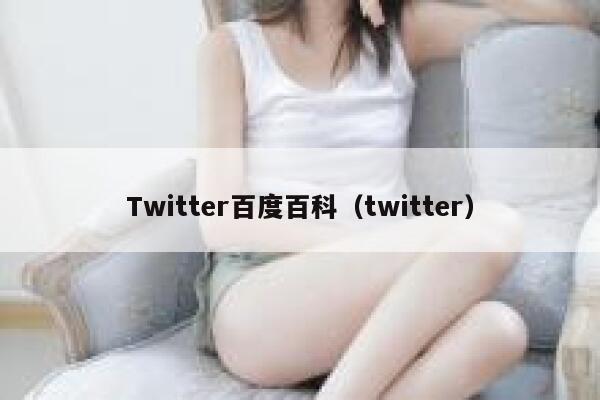 Twitter百度百科（twitter） 第1张