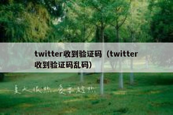 twitter收到验证码（twitter收到验证码乱码） 第1张