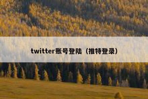 twitter账号登陆(推特登录) 第1张 twitter账号登陆(推特登录) 第1张
