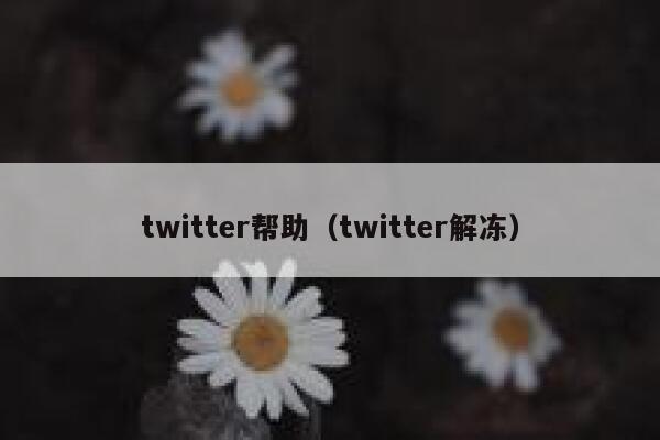 twitter帮助（twitter解冻） 第1张