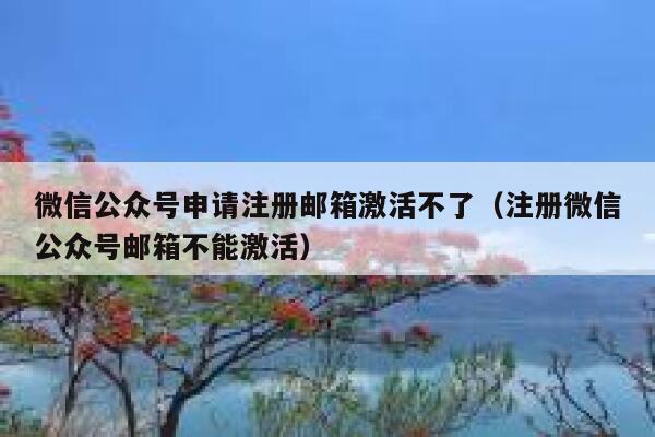微信公众号申请注册邮箱激活不了（注册微信公众号邮箱不能激活） 第1张
