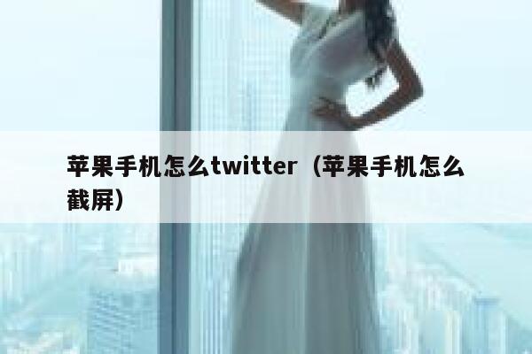 苹果手机怎么twitter（苹果手机怎么截屏） 第1张