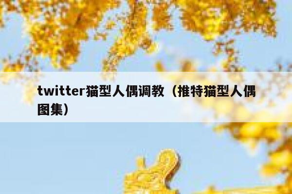 twitter猫型人偶调教（推特猫型人偶图集） 第1张