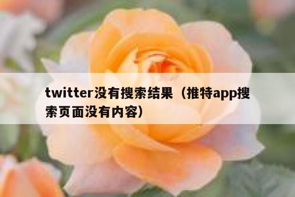 twitter没有搜索结果（推特app搜索页面没有内容） 第1张