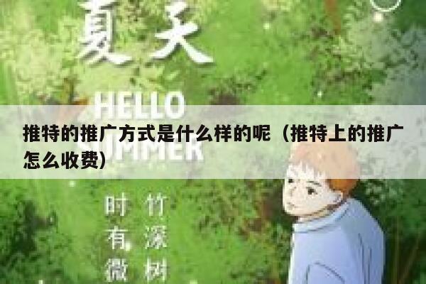 推特的推广方式是什么样的呢（推特上的推广怎么收费） 第1张