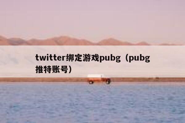 twitter绑定游戏pubg（pubg推特账号） 第1张