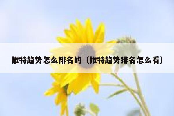 推特趋势怎么排名的（推特趋势排名怎么看） 第1张