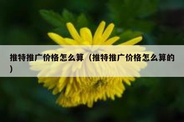 推特推广价格怎么算（推特推广价格怎么算的） 第1张