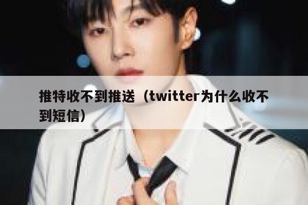 推特收不到推送（twitter为什么收不到短信） 第1张