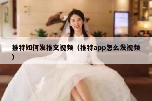 推特如何发推文视频（推特app怎么发视频） 第1张